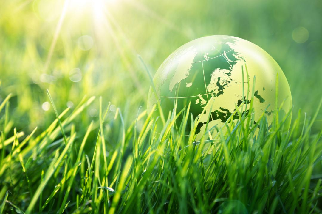 green_world